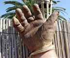 Les gants Wade Egan Gear